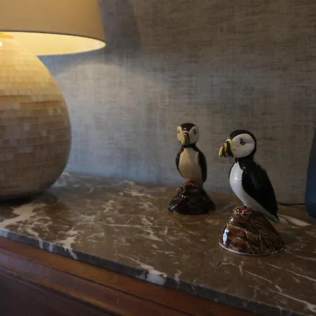 Peter Panne * De Panne